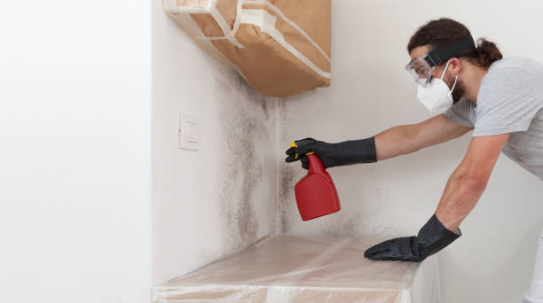 Professional Crawl Space Mold Remediation technician working in Bayonne, NJ