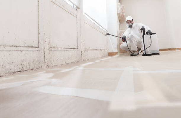 24/7 Emergency Crawl Space Mold Remediation experts in Bayonne, NJ