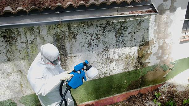 Top rated local Crawl Space Mold Remediation specialists in Bayonne, NJ